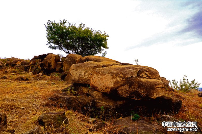 ��������ɽ�zӰ��(xi��)�桪������(gu��)�zӰ��Ʒ