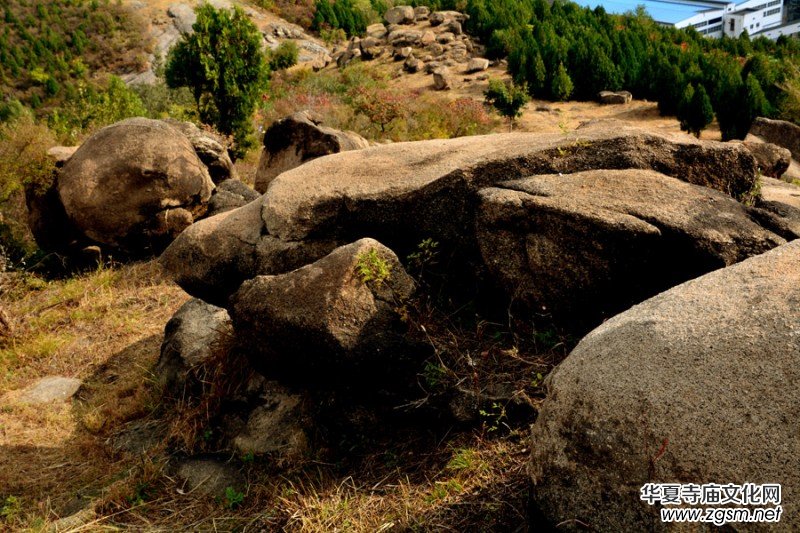 ��������ɽ�zӰ��(xi��)�桪������(gu��)�zӰ��Ʒ