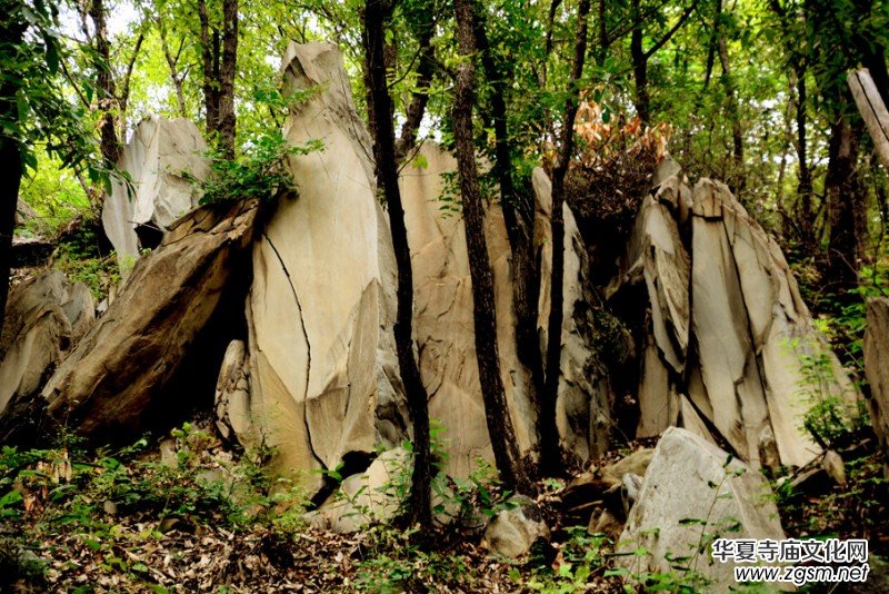 ��������ɽ�zӰ��(xi��)�桪������(gu��)�zӰ��Ʒ