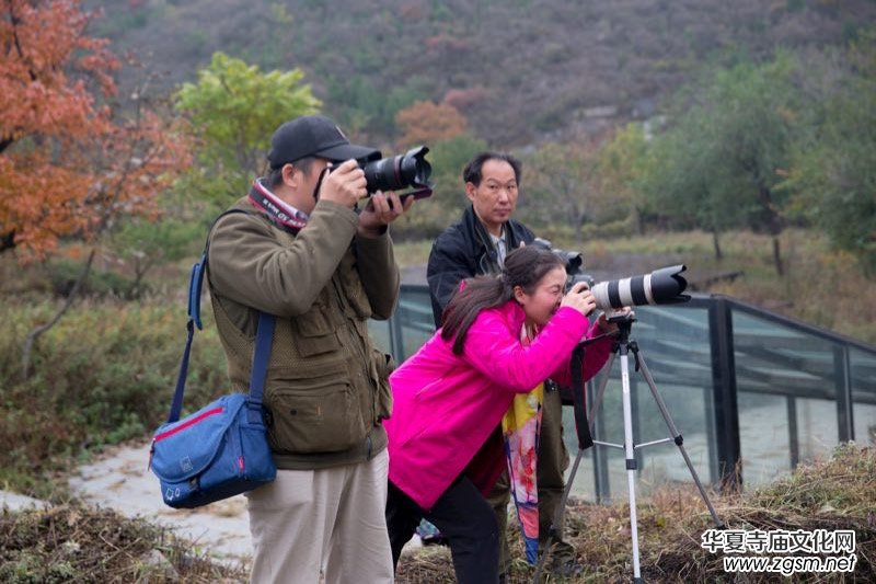 ӛ�ߔzӰ�����M��ɽ����ɽ�L���^(q��)��L