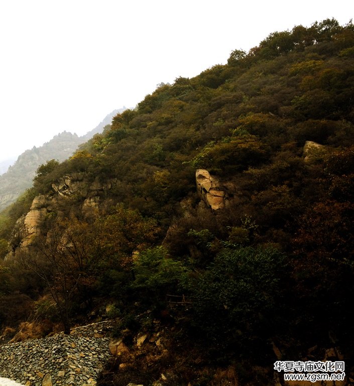 ӛ�ߔzӰ�����M��ɽ����ɽ�L���^(q��)��L