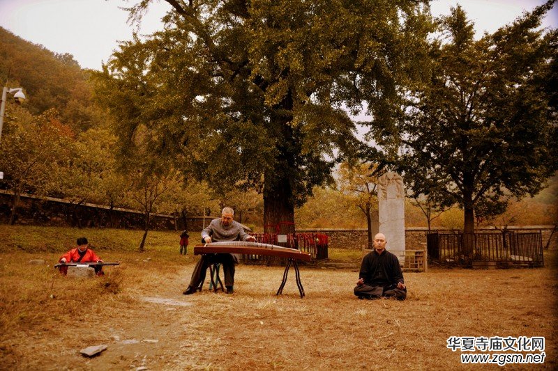 ӛ�ߔzӰ�����M��ɽ����ɽ�L���^(q��)��L