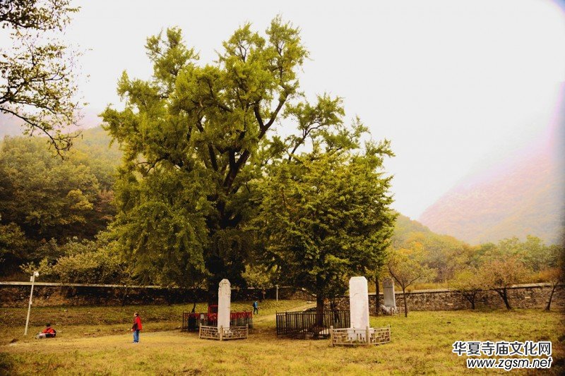 ӛ�ߔzӰ�����M��ɽ����ɽ�L���^(q��)��L