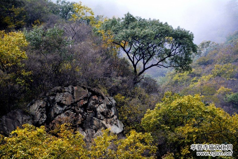 ӛ�ߔzӰ�����M��ɽ����ɽ�L���^(q��)��L