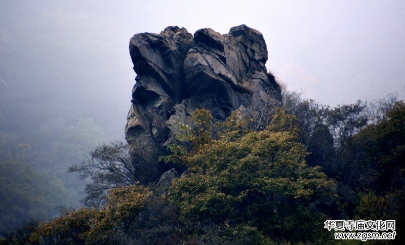 ӛ�ߔzӰ�����M��ɽ����ɽ�L���^(q��)��L