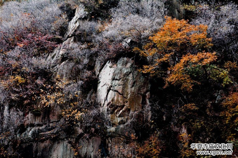 ӛ�ߔzӰ�����M��ɽ����ɽ�L���^(q��)��L