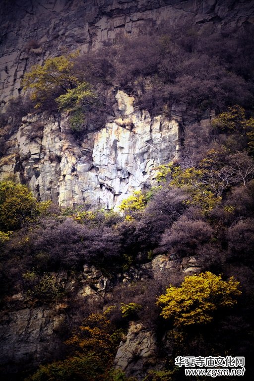 ӛ�ߔzӰ�����M��ɽ����ɽ�L���^(q��)��L