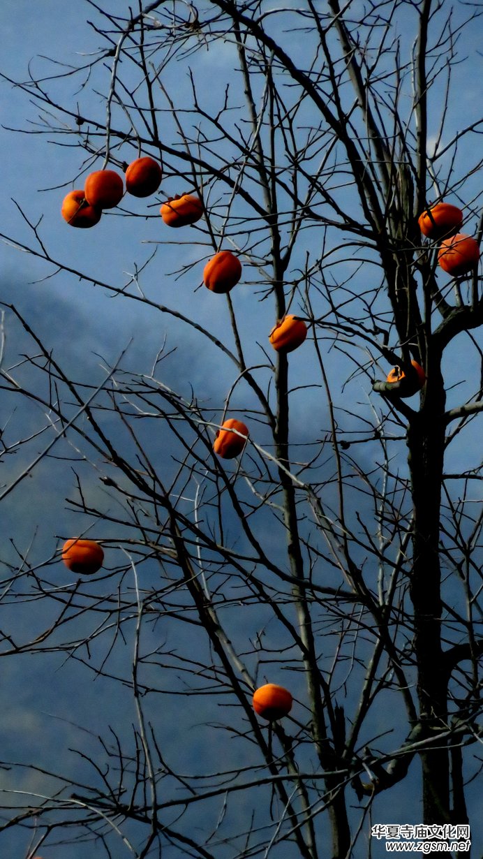 ����ɽ��ʯ�����Ȫ�澰