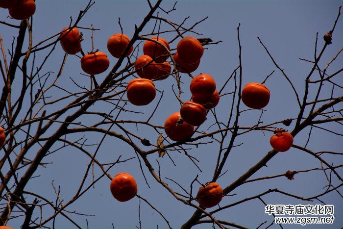 ����ɽ��ʯ�����Ȫ�澰