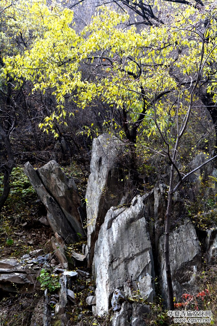 ����ɽ��ʯ�����Ȫ�澰