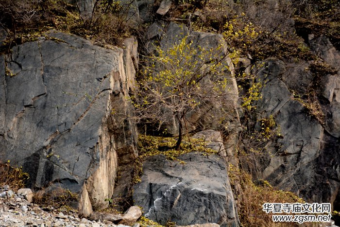 ����ɽ��ʯ�����Ȫ�澰