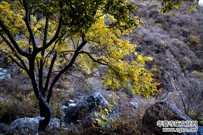 ����ɽ��ʯ�����Ȫ�澰