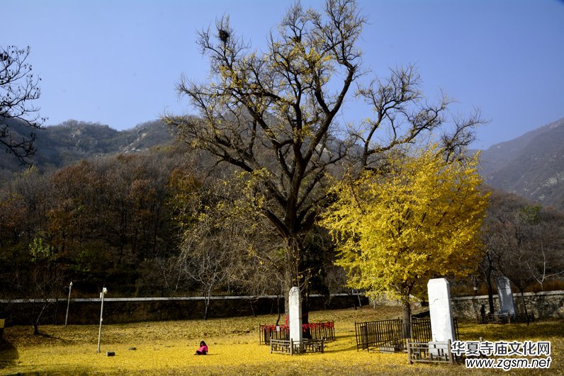 ����ɽ��ʯ�����Ȫ�澰