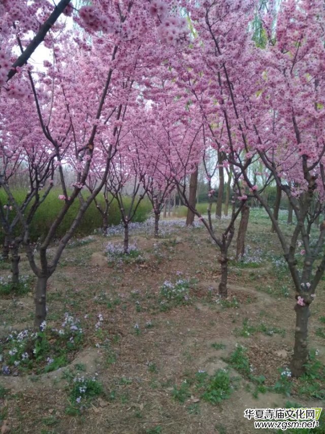 ����2017������ᭇԊ(sh��)�~���Ŀ��R