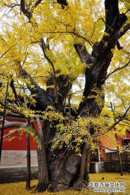 2018����(ji��)����ȥ��?��(j��)�f(shu��)�@Щ�R�����`�(y��n)