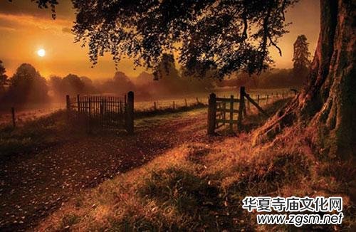 ȫ�����T���ڎ���һ�������^�W����Ҫ�˷�