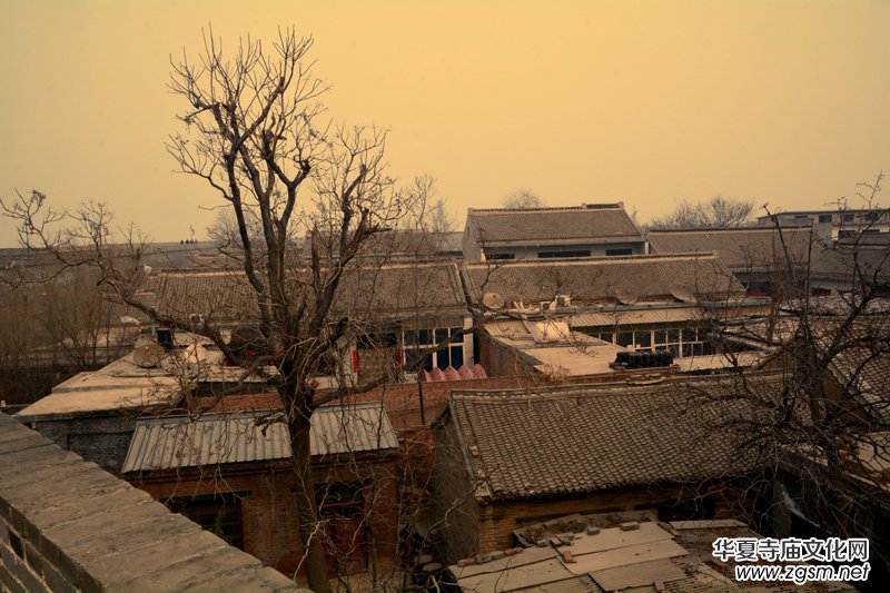 �V���ųǡ���������Ц�����zӰ