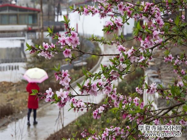 ���Ӱҕ����һ�_Ļʽ