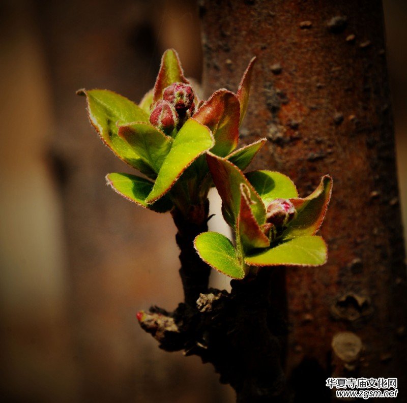 �����_�ˡ���Ԋ���zӰ