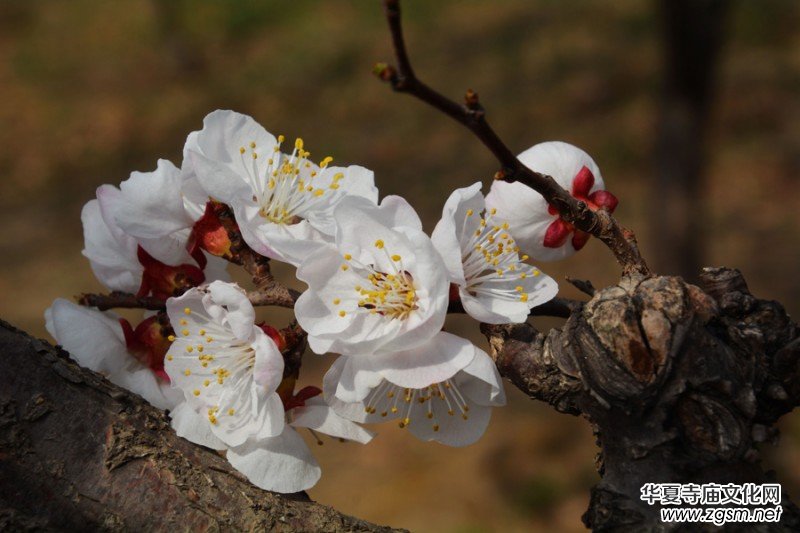 �����_�ˡ���Ԋ���zӰ