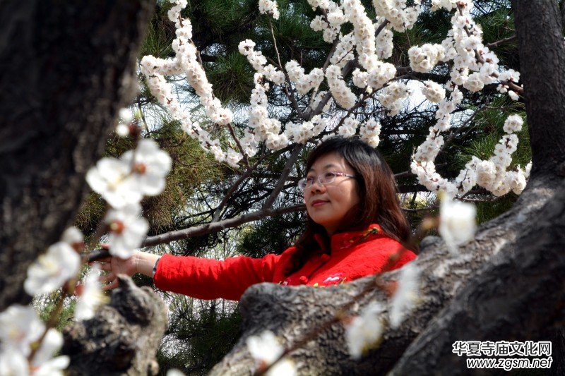 �����_�ˡ���Ԋ���zӰ