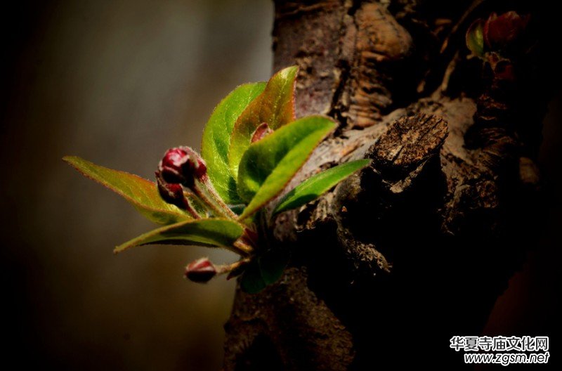 �����_�ˡ���Ԋ���zӰ