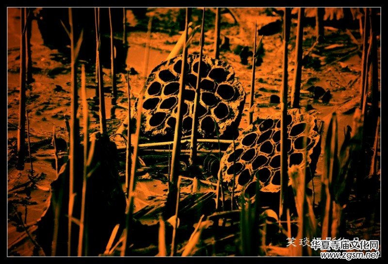 �ݺɪq�и߹�(ji��)�ڡ���Ц���zӰ��Ʒ