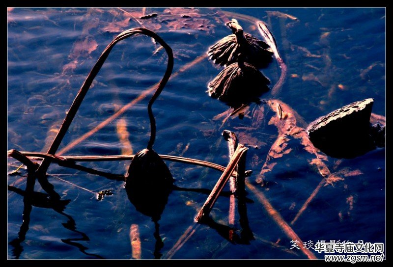 �ݺɪq�и߹�(ji��)�ڡ���Ц���zӰ��Ʒ