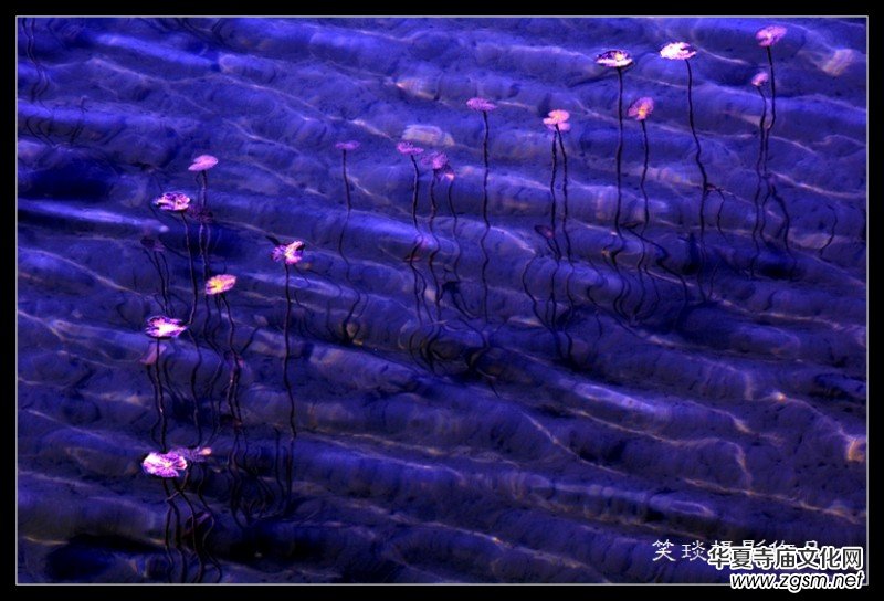 �ݺɪq�и߹�(ji��)�ڡ���Ц���zӰ��Ʒ