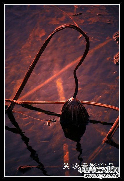 �ݺɪq�и߹�(ji��)�ڡ���Ц���zӰ��Ʒ