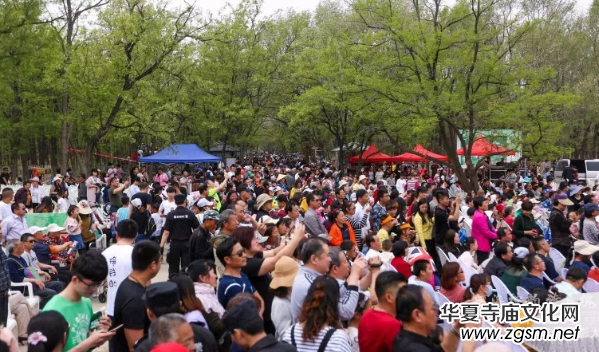 �Ի���ý������Ҋ�����u