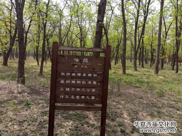 �Ի���ý������Ҋ�����u