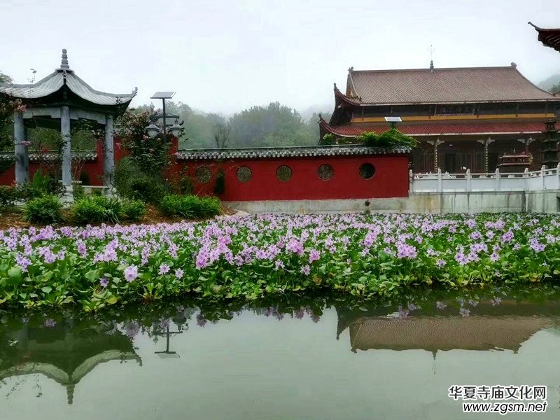 大同花開 大同花開