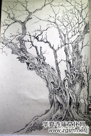 ��(d��ng)����ɮ�׌��Ї������ް�Y(ji��)�I(y��)��Ʒչ�ߵڶ������ް��_�W(xu��)