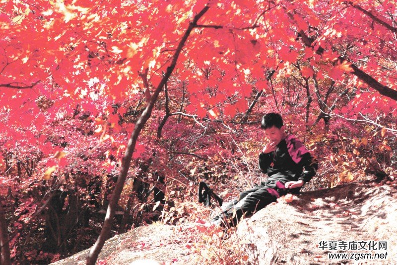 ��Խ��zӰ��Ʒ�x��