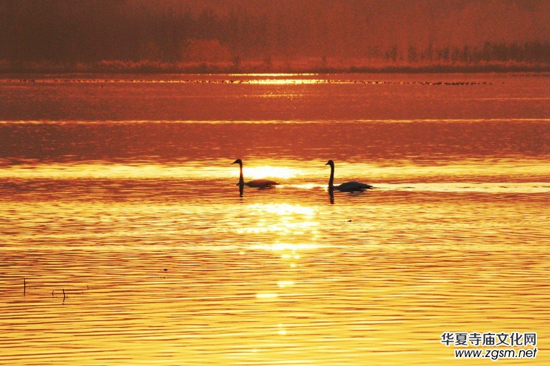 ��Խ��zӰ��Ʒ�x��