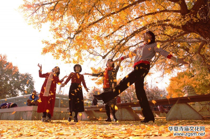 ��Խ��zӰ��Ʒ�x��