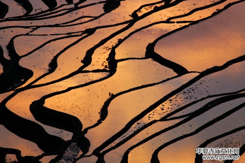 ������zӰ��Ʒ�x��