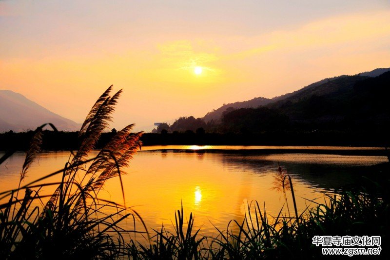 ������zӰ��Ʒ�x��