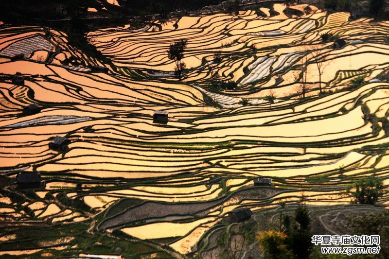 ������zӰ��Ʒ�x��