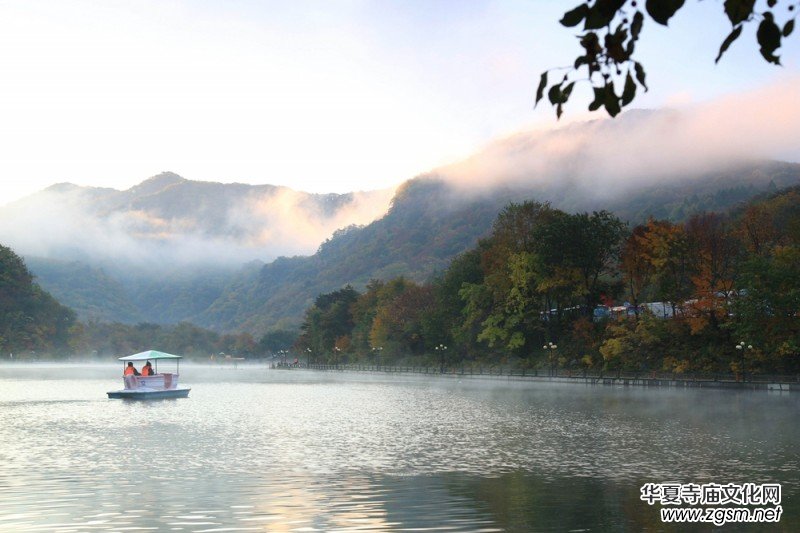 ������zӰ��Ʒ�x��