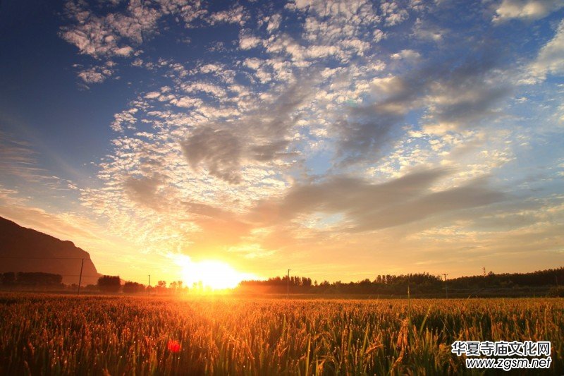 ������zӰ��Ʒ�x��