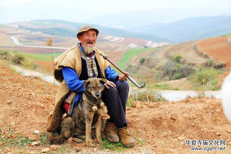 ������zӰ��Ʒ�x��