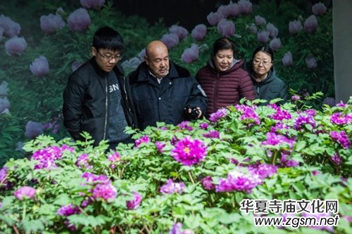 ɽ��ʡĵ���@���׌�ӭ�´�ĵ���r��չ�������չ�