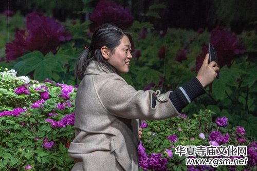 ɽ��ʡĵ���@���׌�ӭ�´�ĵ���r��չ�������չ�