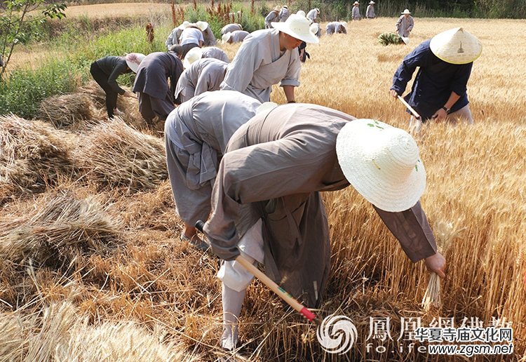 ����һ���S�ռ�����ɽ������ɮ���]��ո�С��