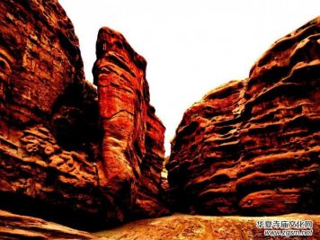 Ц���zӰ:�½������Fľ����{����Ӱ