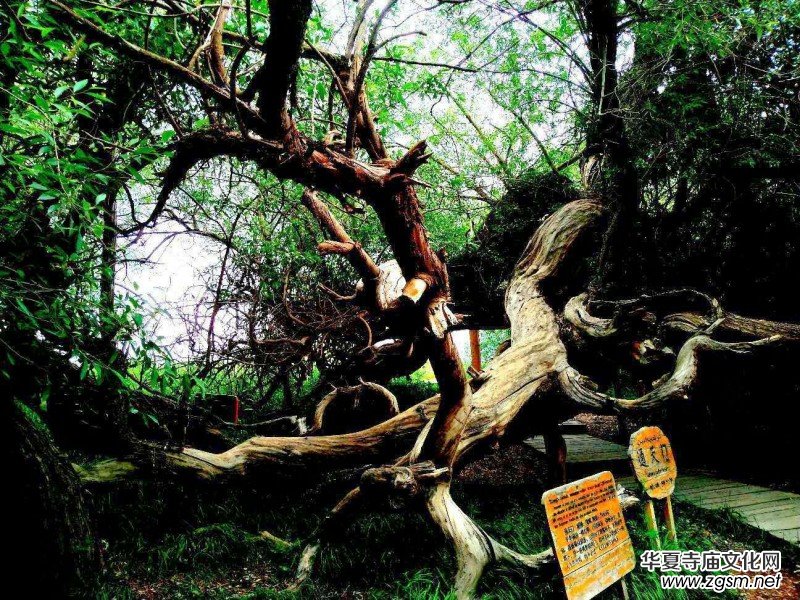 Ц���zӰ:��ɽ��ľ�@(�½������K�؅^(q��)����)