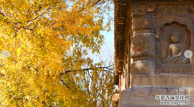 ��������ɫ