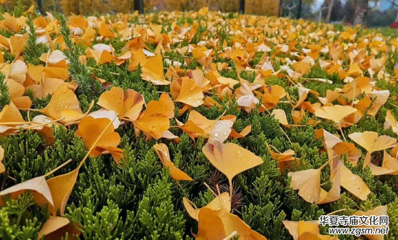 �K����: ��������~